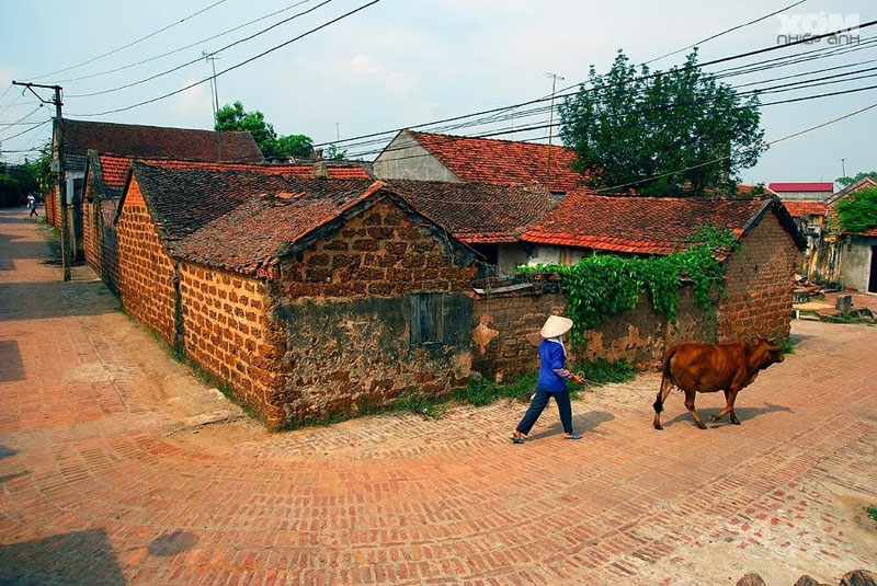 Hình ảnh làng quê Việt Nam 01