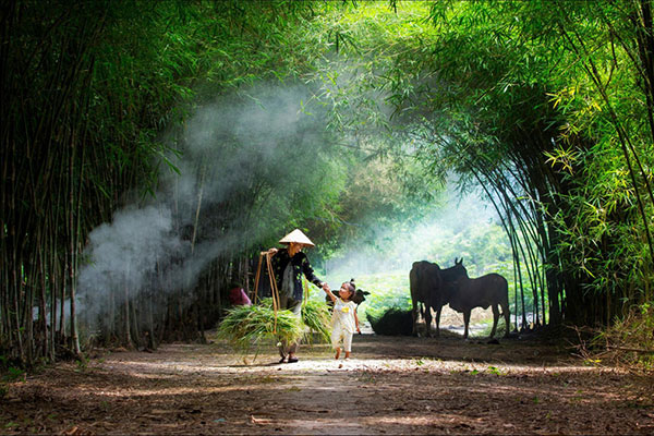 Hình ảnh làng quê Việt Nam 07