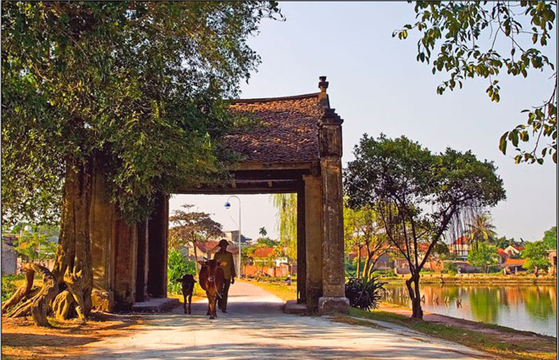 Hình ảnh làng quê Việt Nam 24