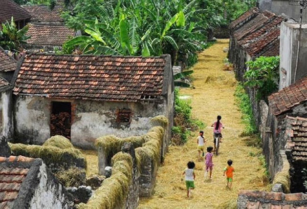Hình ảnh làng quê Việt Nam 13