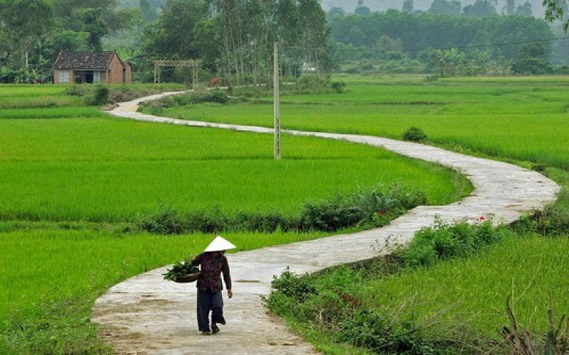 Hình ảnh làng quê Việt Nam 19