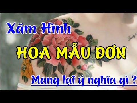 Tổng hợp 86+ hình xăm hoa mẫu đơn đa chủ đề đẹp và ý nghĩa nhất