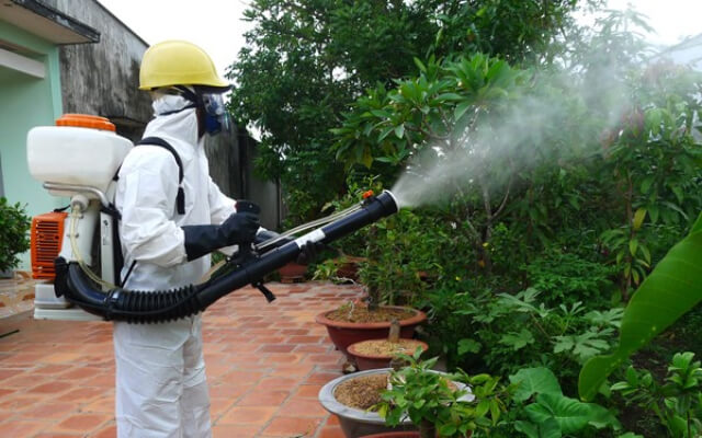 Sử dụng hóa chất chống muỗi